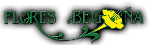 Flores Begoña